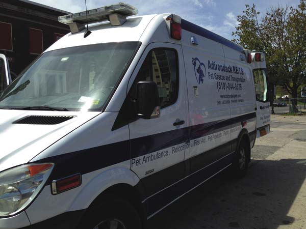 emergency vet ambulance
